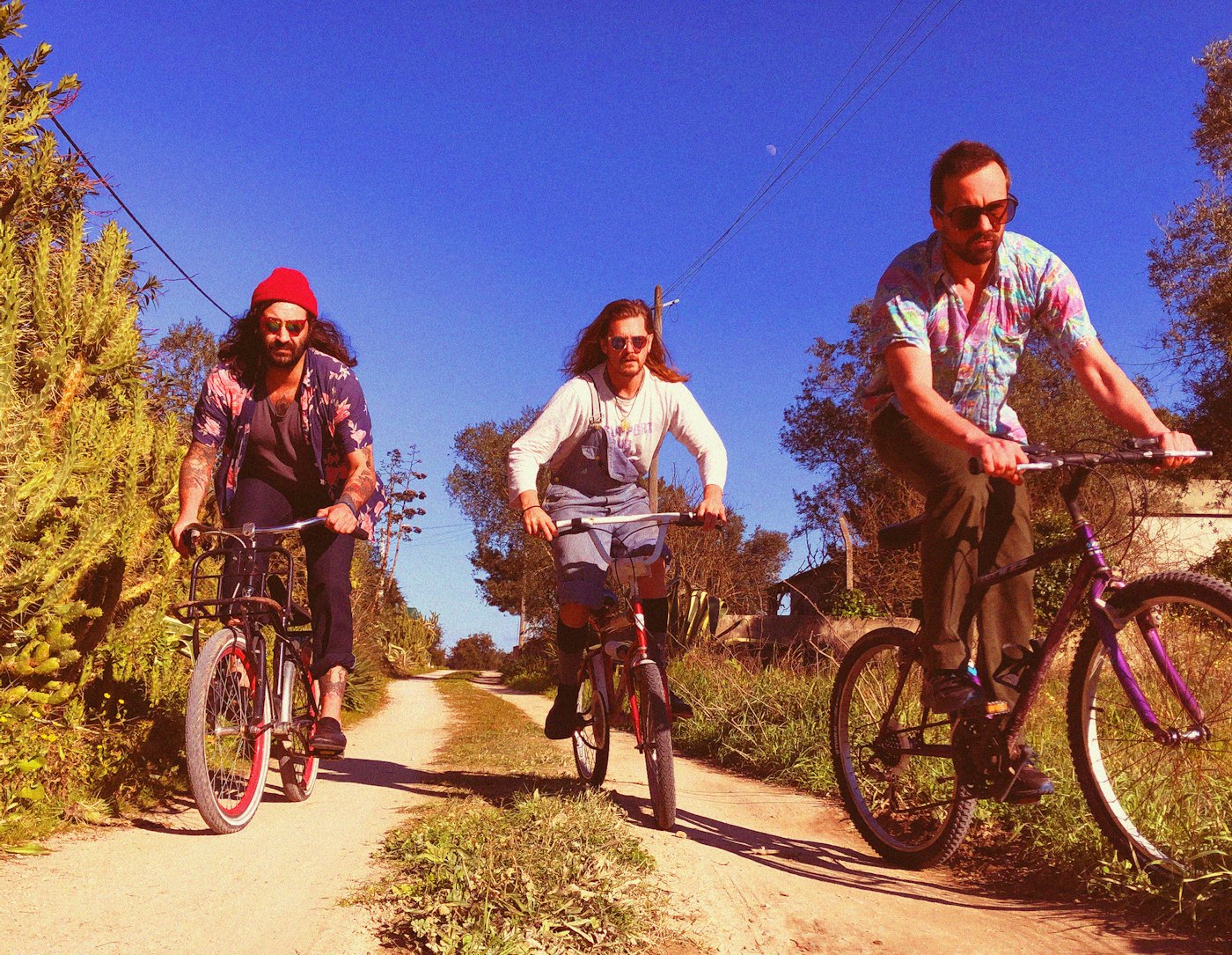 Collignon Cycledelica