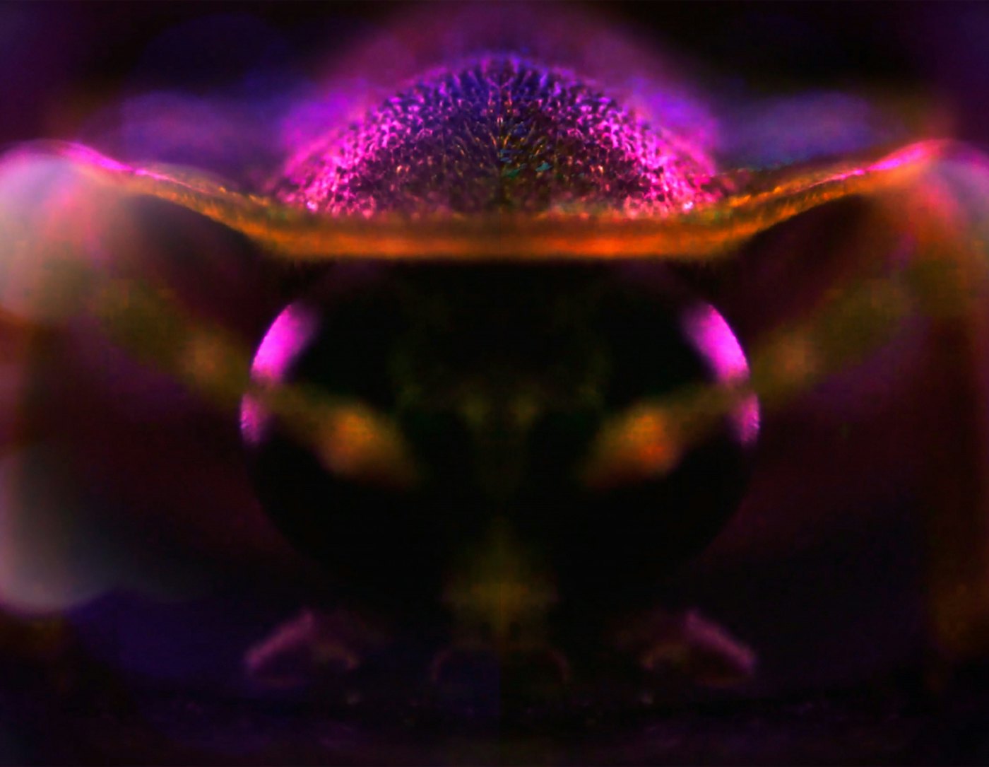 Strangers in the dark