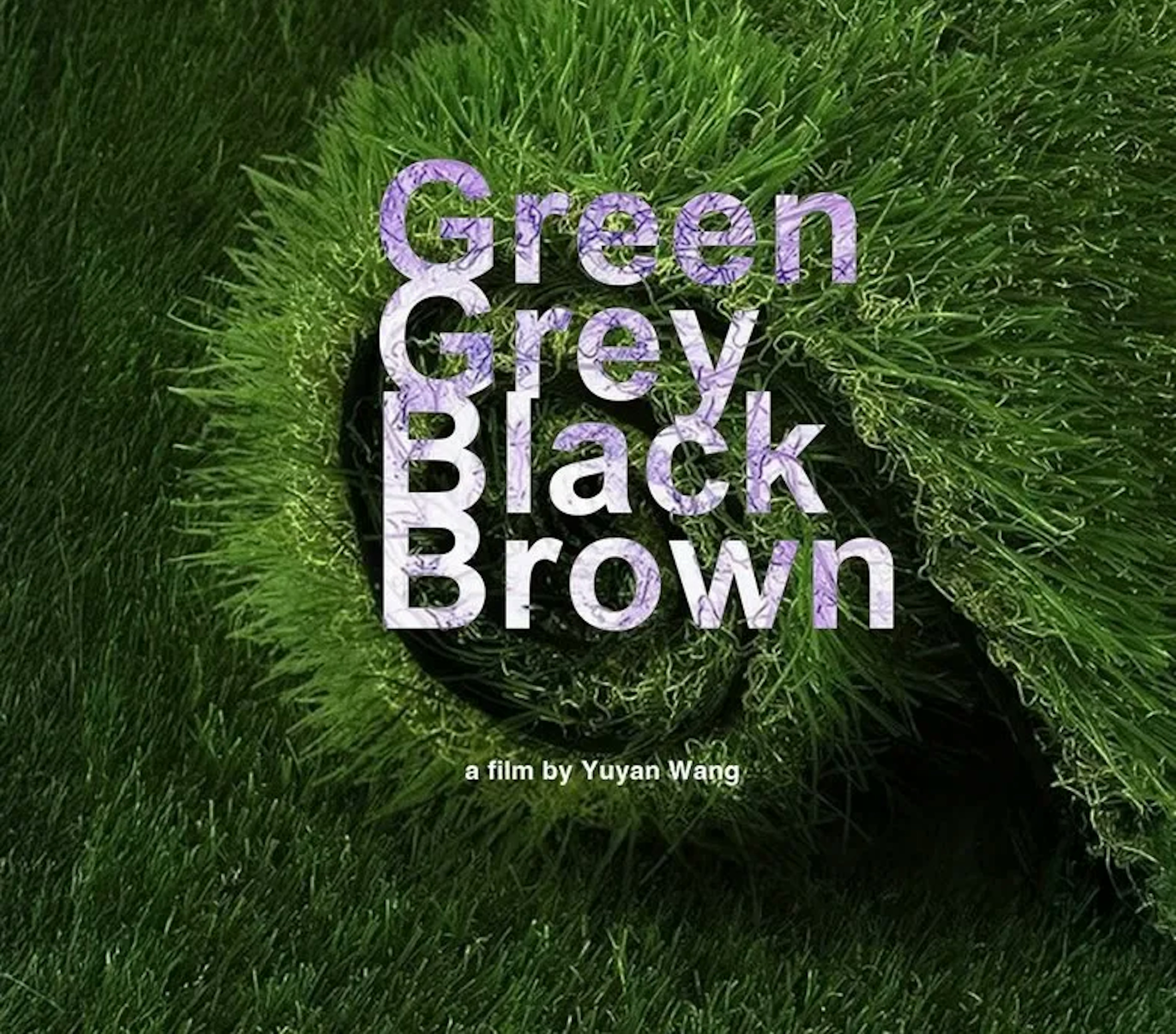 Green grey black brown