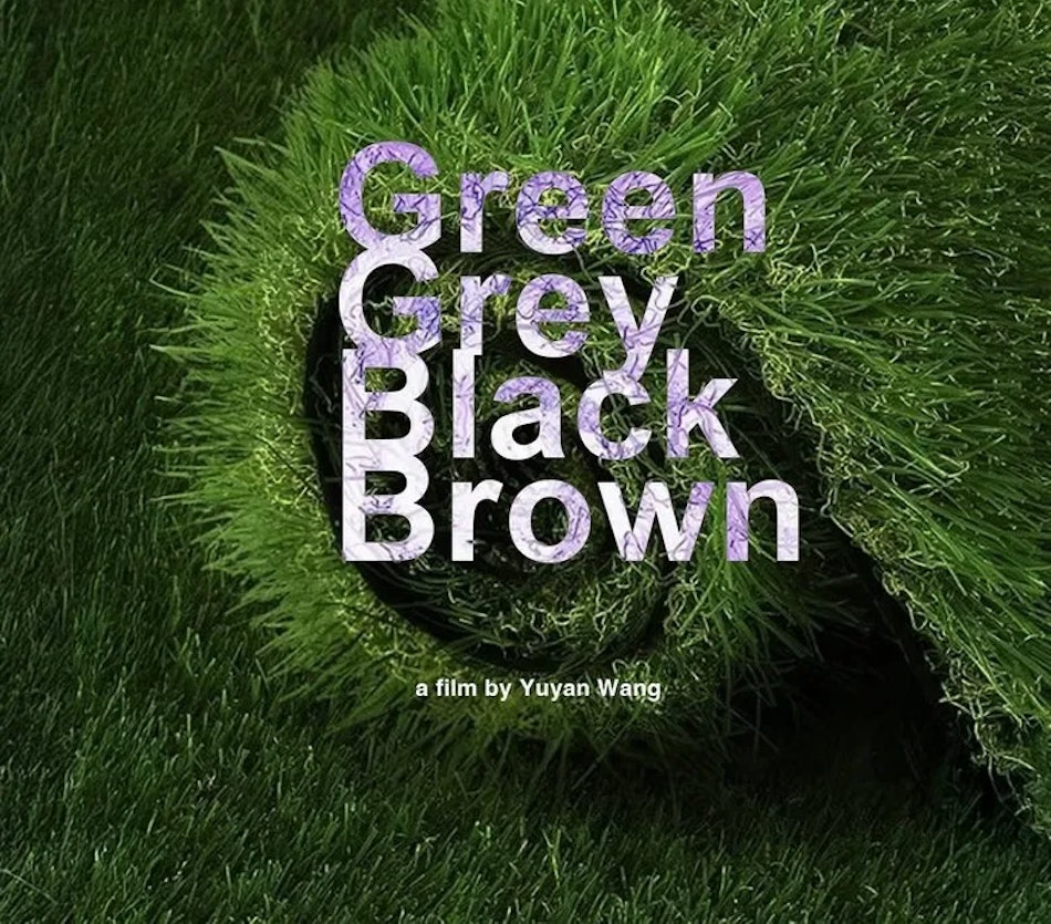 Placeholder for Green grey black brown